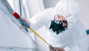 Best Fumigation Services  in Eastpointe, MI